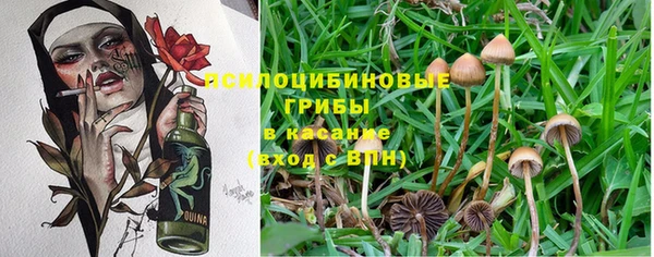 кокаин Михайлов