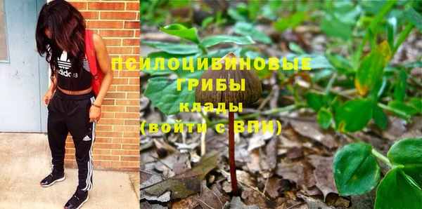 PSILOCYBIN Навашино