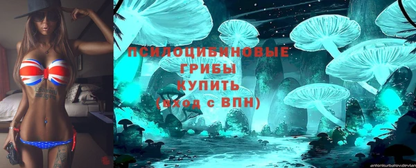 сатива Аксай