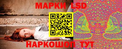 гидропоника Гатчина