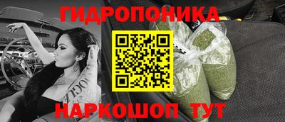 гашик Гагарин