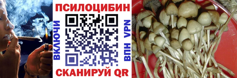 Галлюциногенные грибы Magic Shrooms  Анапа 