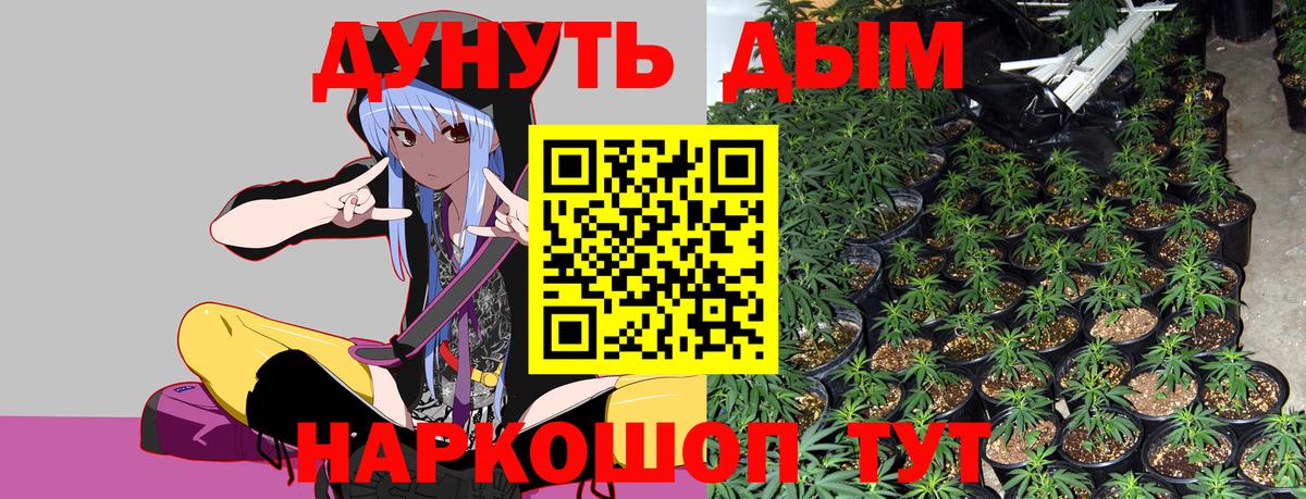 Бошки Шишки Bruce Banner  Марихуана Ganja  Анапа  Шишки марихуана тримм  Бошки марихуана MAZAR  Вход с VPN 